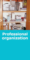 professional organization